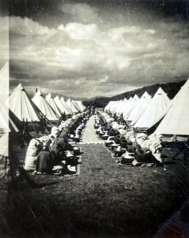 Tent lines at Trentham